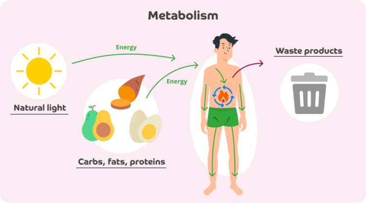 Mengenal dan Mengatasi Sindrom Metabolik