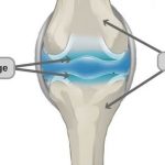 10 Tips Meningkatkan Pelumasan Sendi secara Medis