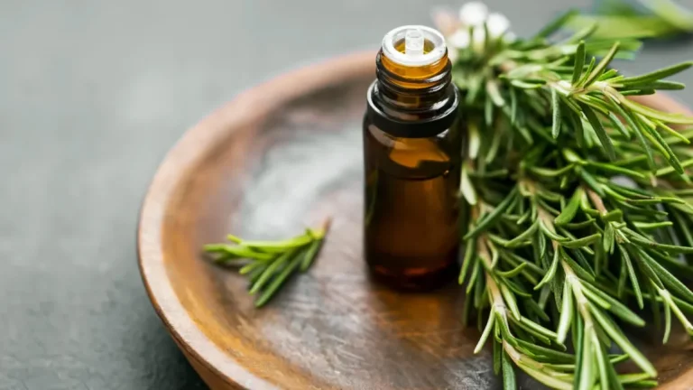 10 Bahan Alami yang Efektif Mengatasi Jerawat Membandel